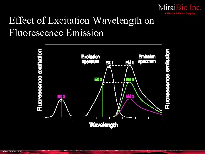 Mirai. Bio Inc. Effect of Excitation Wavelength on Fluorescence Emission © Mirai. Bio Inc.