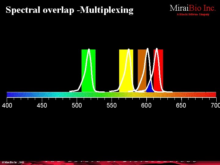 Mirai. Bio Inc. Spectral overlap -Multiplexing 400 © Mirai. Bio Inc. , 2003 450