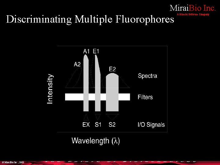 Mirai. Bio Inc. Discriminating Multiple Fluorophores © Mirai. Bio Inc. , 2003 A Hitachi