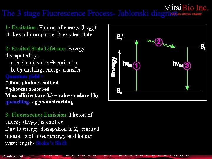 Mirai. Bio Inc. The 3 stage Fluorescence Process- Jablonski diagram A Hitachi Software Company