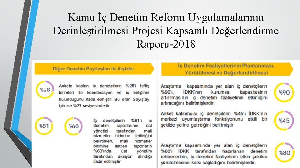 Kamu İç Denetim Reform Uygulamalarının Derinleştirilmesi Projesi Kapsamlı Değerlendirme Raporu-2018 