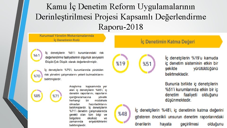 Kamu İç Denetim Reform Uygulamalarının Derinleştirilmesi Projesi Kapsamlı Değerlendirme Raporu-2018 