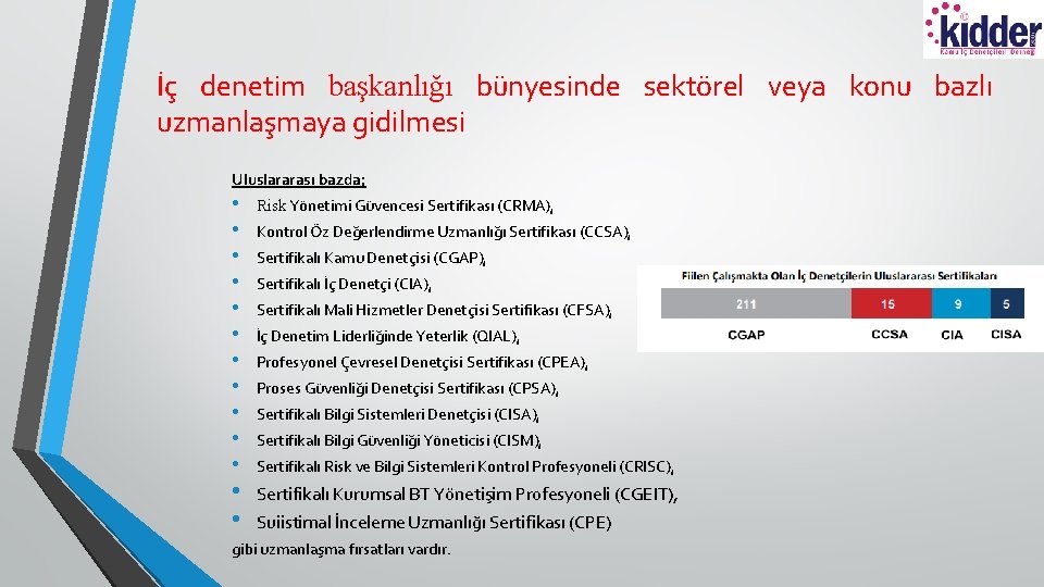 İç denetim başkanlığı bünyesinde sektörel veya konu bazlı uzmanlaşmaya gidilmesi Uluslararası bazda; • •