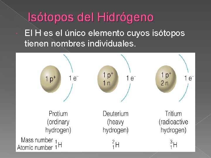 Isótopos del Hidrógeno El H es el único elemento cuyos isótopos tienen nombres individuales.