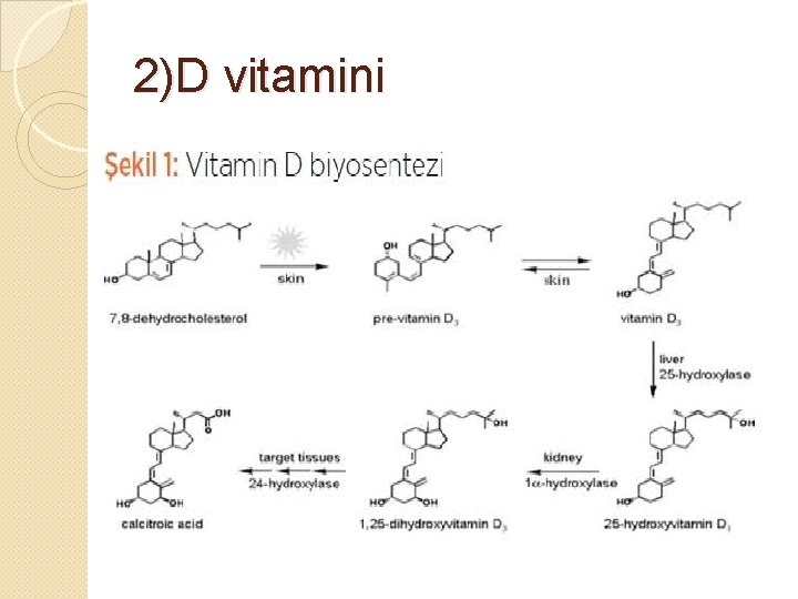 2)D vitamini 