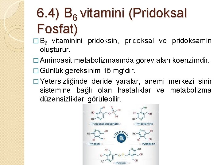 6. 4) B 6 vitamini (Pridoksal Fosfat) � B 6 vitaminini pridoksin, pridoksal ve