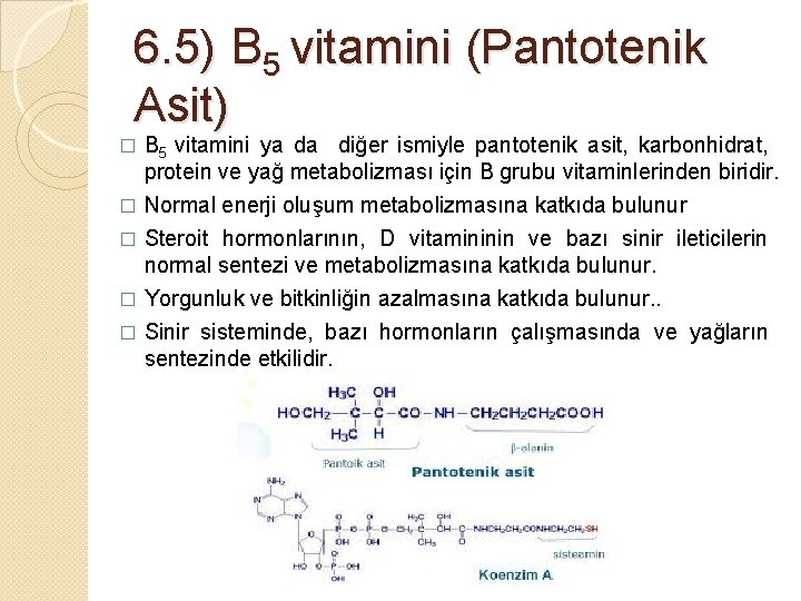 6. 5) B 5 vitamini (Pantotenik Asit) � B 5 vitamini ya da diğer