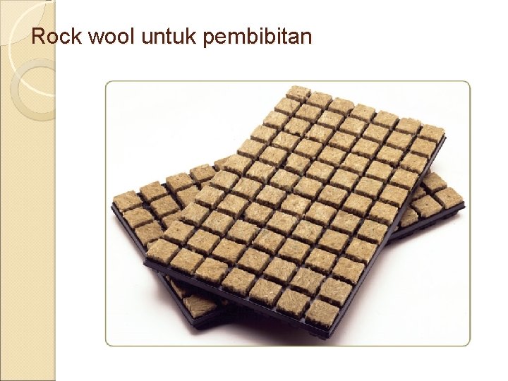 Rock wool untuk pembibitan 