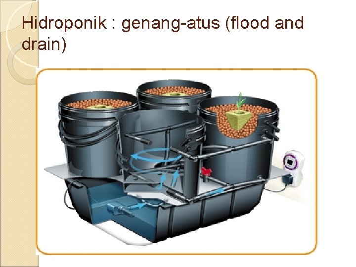 Hidroponik : genang-atus (flood and drain) 