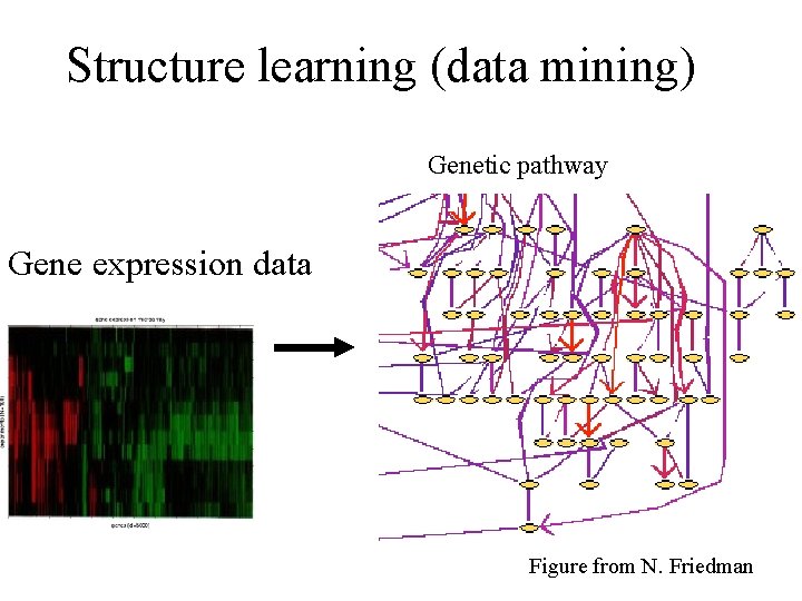 Structure learning (data mining) Genetic pathway Gene expression data Figure from N. Friedman 