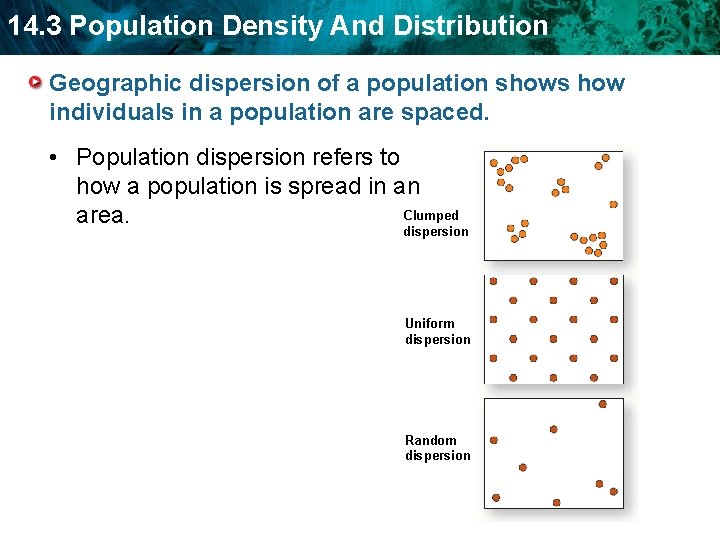 14. 3 Population Density And Distribution Geographic dispersion of a population shows how individuals