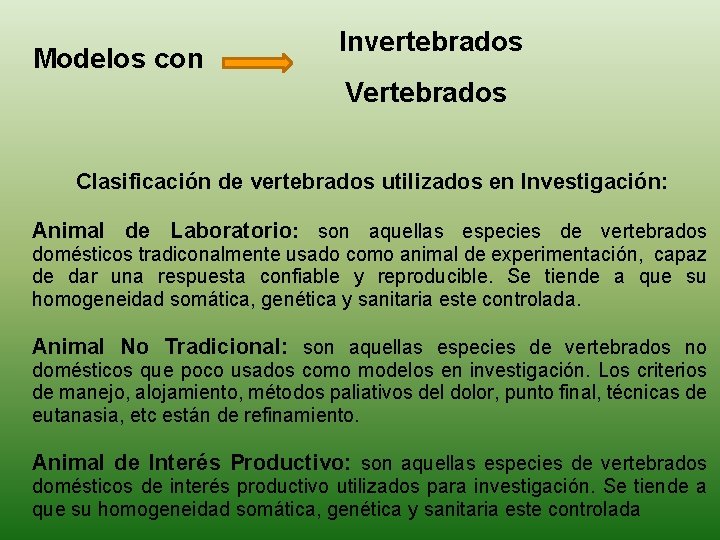 Modelos con Invertebrados Vertebrados Clasificación de vertebrados utilizados en Investigación: Animal de Laboratorio: son