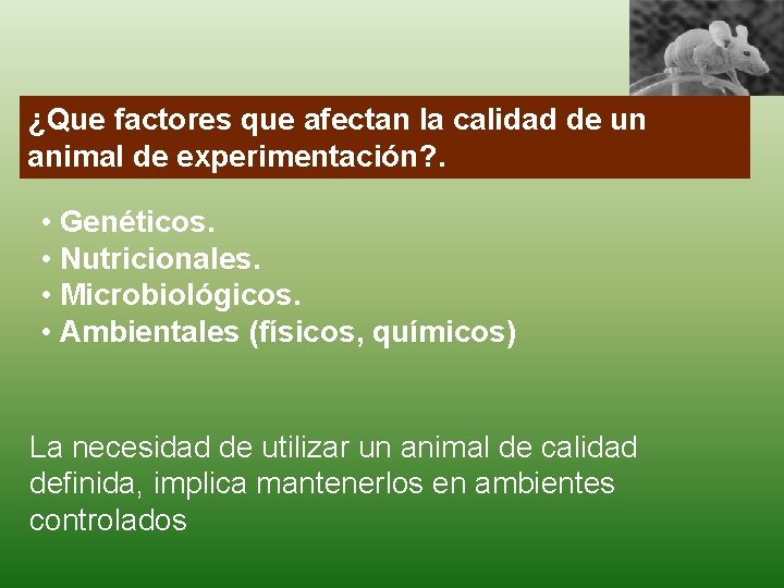 ¿Que factores que afectan la calidad de un animal de experimentación? . • Genéticos.