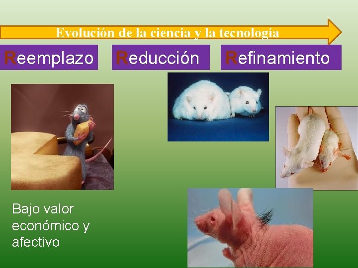 Evolución de la ciencia y la tecnología Reemplazo Bajo valor económico y afectivo Reducción