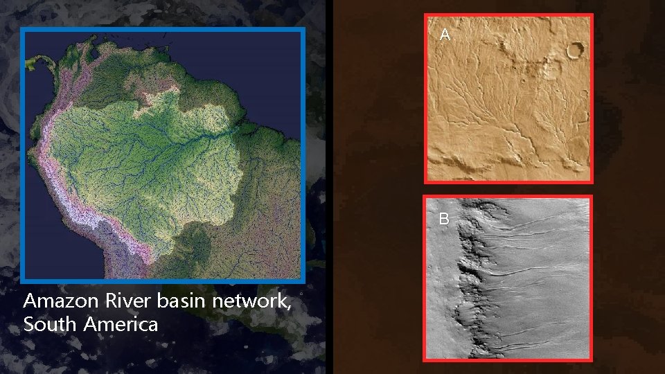 A B Amazon River basin network, South America 
