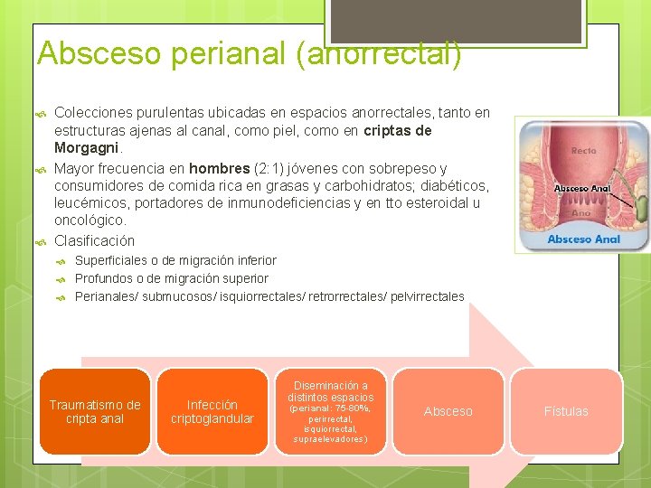 Absceso perianal (anorrectal) Colecciones purulentas ubicadas en espacios anorrectales, tanto en estructuras ajenas al