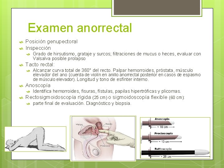 Examen anorrectal Posición genupectoral Inspección Tacto rectal: Alcanzar curva total de 360° del recto.