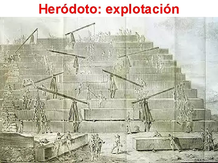 Heródoto: explotación 