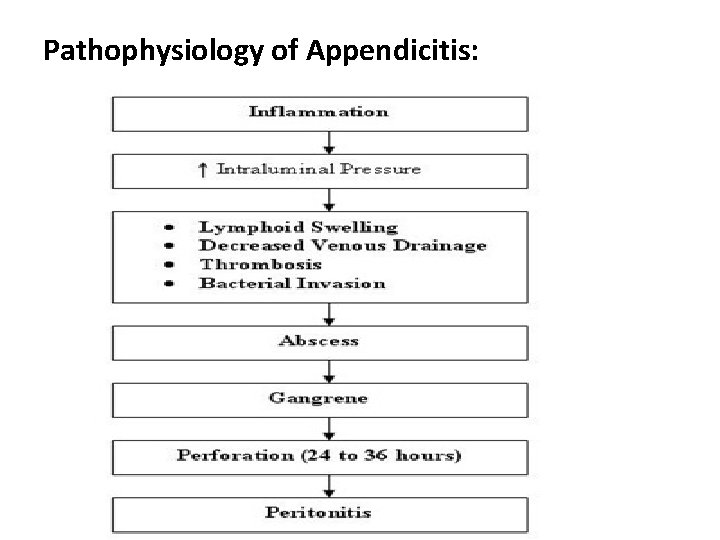 Pathophysiology of Appendicitis: 