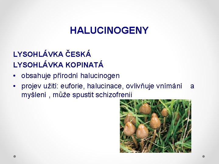 HALUCINOGENY LYSOHLÁVKA ČESKÁ LYSOHLÁVKA KOPINATÁ • obsahuje přírodní halucinogen • projev užití: euforie, halucinace,