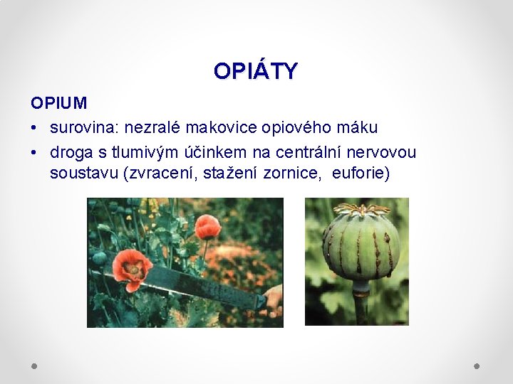 OPIÁTY OPIUM • surovina: nezralé makovice opiového máku • droga s tlumivým účinkem na