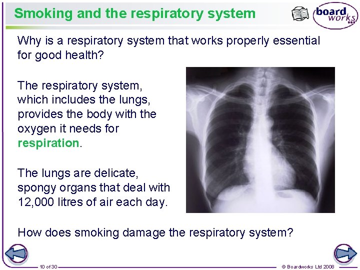 Smoking and the respiratory system Why is a respiratory system that works properly essential