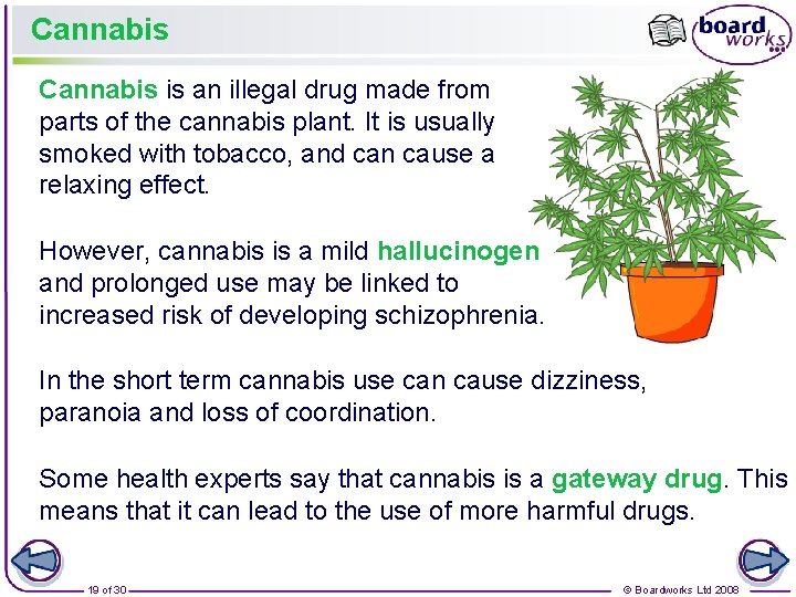 Cannabis is an illegal drug made from parts of the cannabis plant. It is