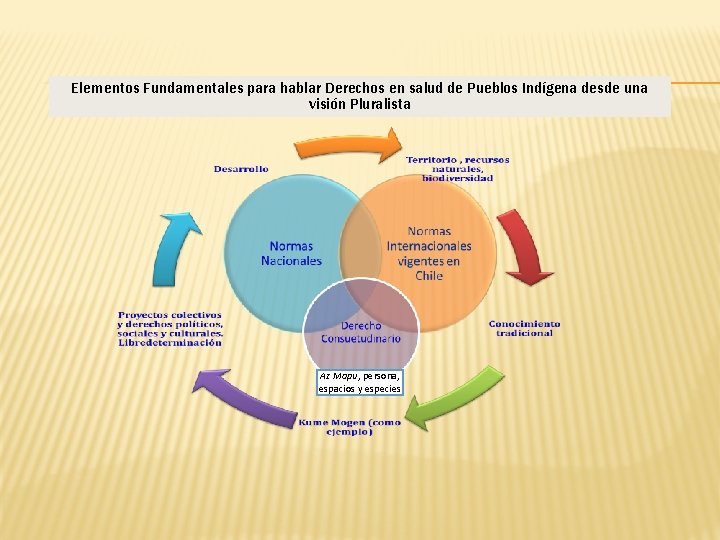 Elementos Fundamentales para hablar Derechos en salud de Pueblos Indígena desde una visión Pluralista