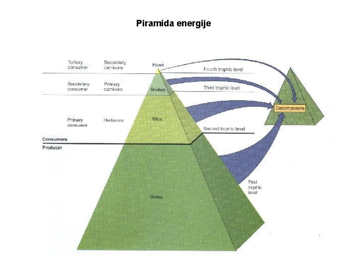 Piramida energije 