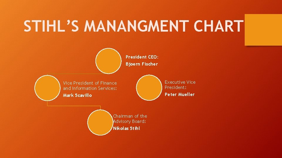 STIHL’S MANANGMENT CHART President CEO: Bjoern Fischer Vice President of Finance and Information Services: