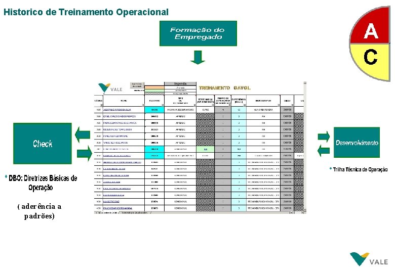 Historico de Treinamento Operacional ( aderência a padrões) 31 