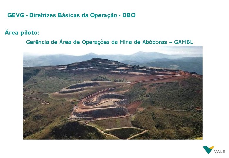 GEVG - Diretrizes Básicas da Operação - DBO Área piloto: Gerência de Área de