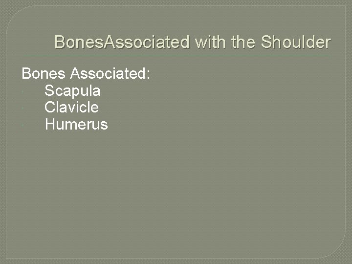 Bones. Associated with the Shoulder Bones Associated: Scapula Clavicle Humerus 