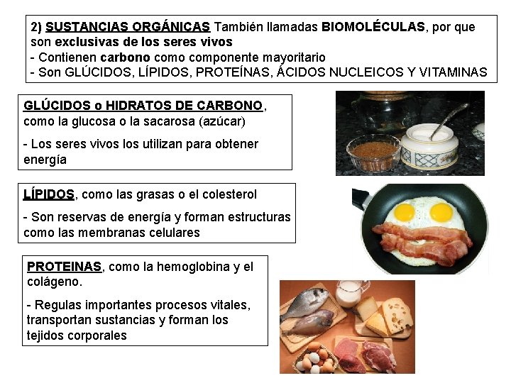 2) SUSTANCIAS ORGÁNICAS También llamadas BIOMOLÉCULAS, por que son exclusivas de los seres vivos