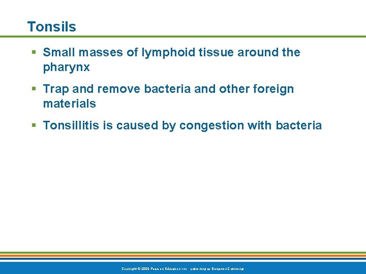 Tonsils § Small masses of lymphoid tissue around the pharynx § Trap and remove
