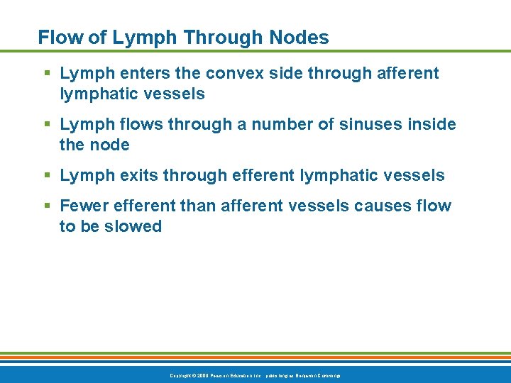 Flow of Lymph Through Nodes § Lymph enters the convex side through afferent lymphatic