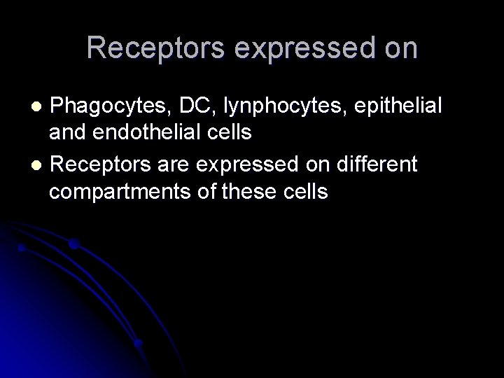 Receptors expressed on Phagocytes, DC, lynphocytes, epithelial and endothelial cells l Receptors are expressed