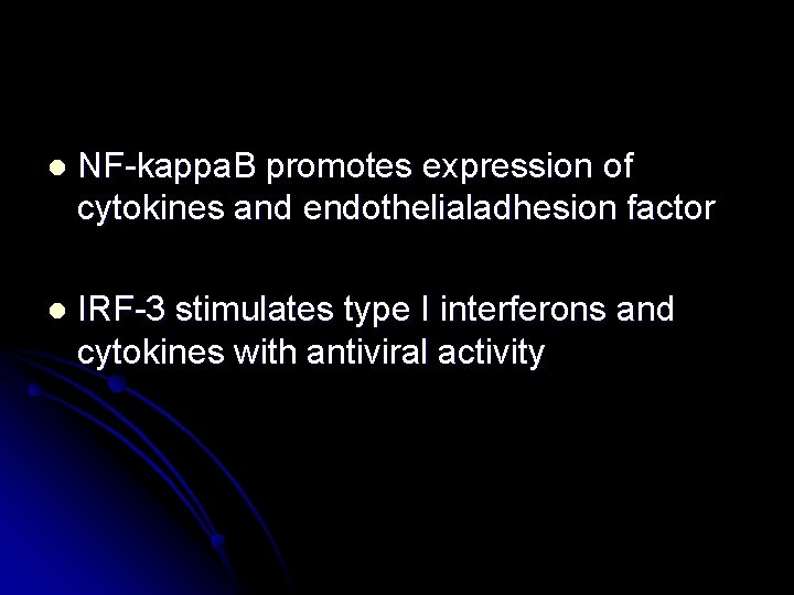l NF-kappa. B promotes expression of cytokines and endothelialadhesion factor l IRF-3 stimulates type