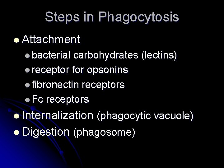 Steps in Phagocytosis l Attachment l bacterial carbohydrates (lectins) l receptor for opsonins l