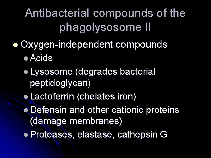Antibacterial compounds of the phagolysosome II l Oxygen-independent compounds l Acids l Lysosome (degrades