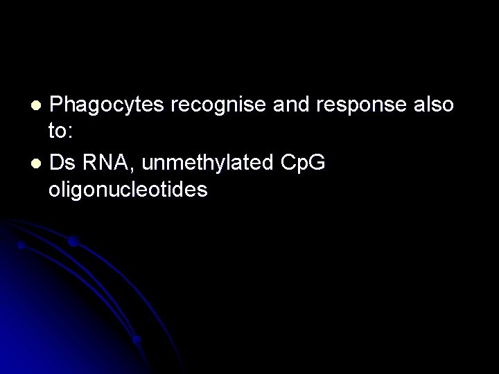 Phagocytes recognise and response also to: l Ds RNA, unmethylated Cp. G oligonucleotides l