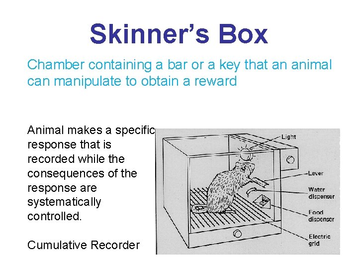Skinner’s Box Chamber containing a bar or a key that an animal can manipulate