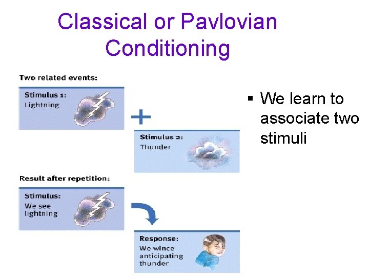 Classical or Pavlovian Conditioning § We learn to associate two stimuli 