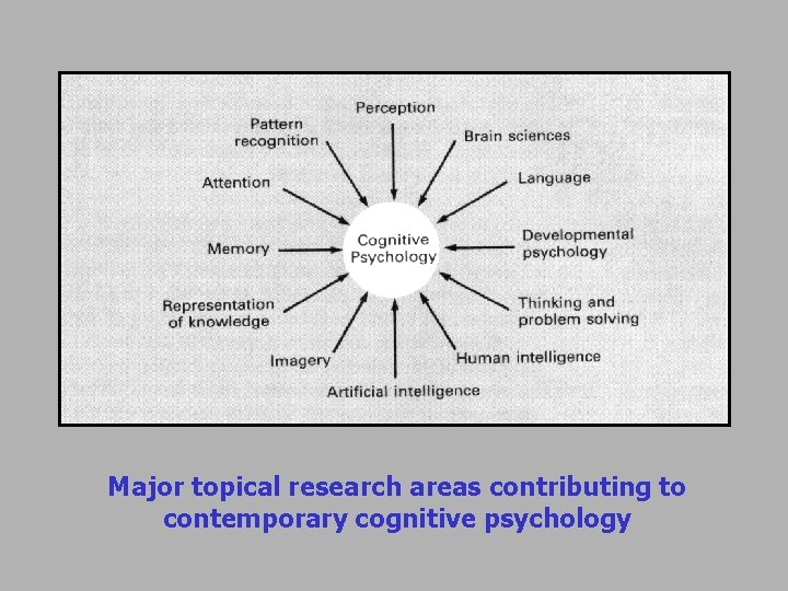 Major topical research areas contributing to contemporary cognitive psychology 