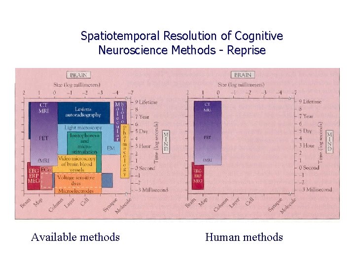 Spatiotemporal Resolution of Cognitive Neuroscience Methods - Reprise Available methods Human methods 