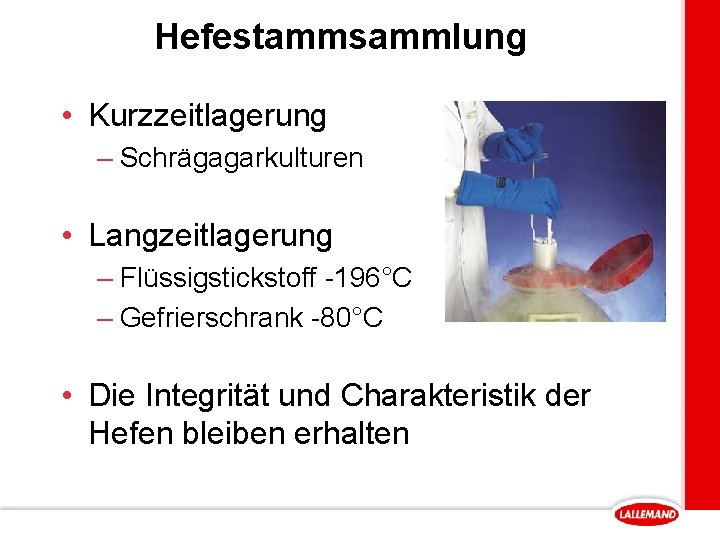 Hefestammsammlung • Kurzzeitlagerung – Schrägagarkulturen • Langzeitlagerung – Flüssigstickstoff -196°C – Gefrierschrank -80°C •