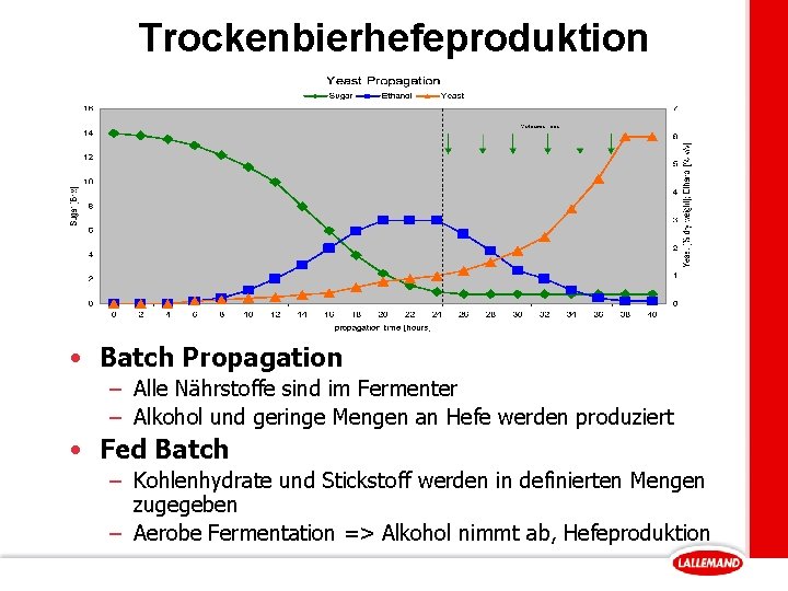 Trockenbierhefeproduktion • Batch Propagation – Alle Nährstoffe sind im Fermenter – Alkohol und geringe