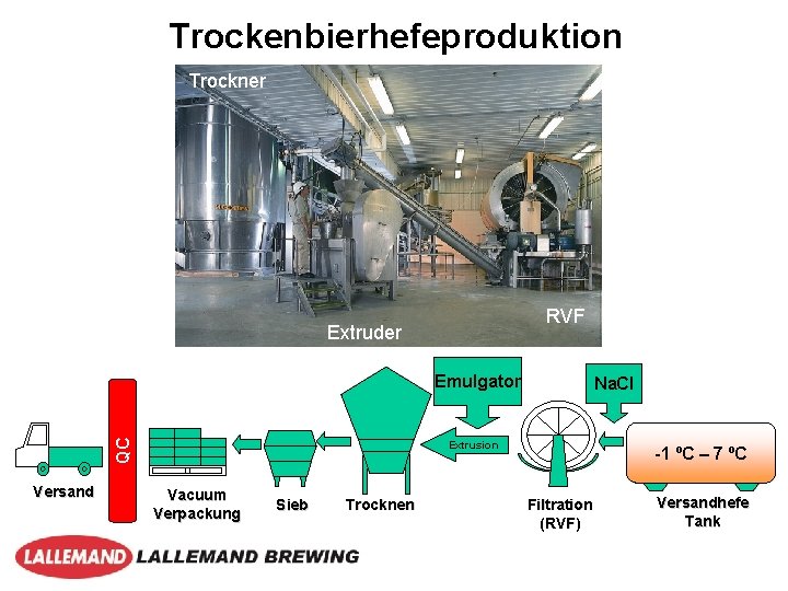Trockenbierhefeproduktion Trockner RVF Extruder QC Emulgator Versand Na. Cl Extrusion Vacuum Verpackung Sieb Trocknen
