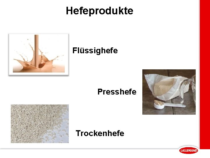 Hefeprodukte Flüssighefe Presshefe Trockenhefe 