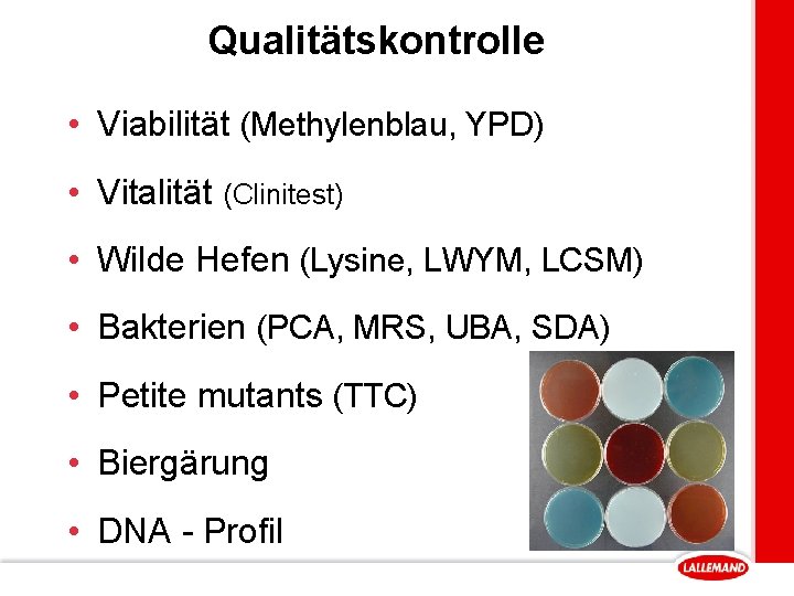Qualitätskontrolle • Viabilität (Methylenblau, YPD) • Vitalität (Clinitest) • Wilde Hefen (Lysine, LWYM, LCSM)